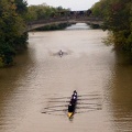 Men s 1st Novice 8 b